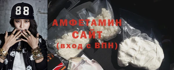 ГАЛЛЮЦИНОГЕННЫЕ ГРИБЫ Дмитриев