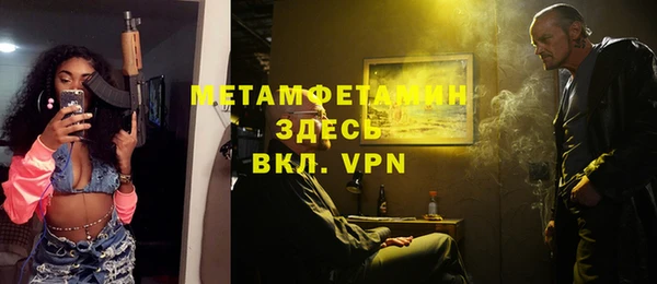 ГАЛЛЮЦИНОГЕННЫЕ ГРИБЫ Дмитриев