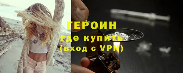 ГАЛЛЮЦИНОГЕННЫЕ ГРИБЫ Дмитриев
