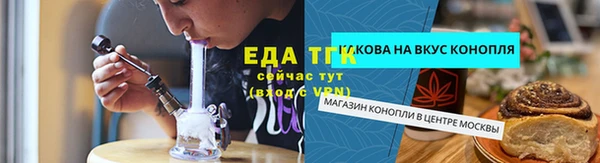 ГАЛЛЮЦИНОГЕННЫЕ ГРИБЫ Дмитриев