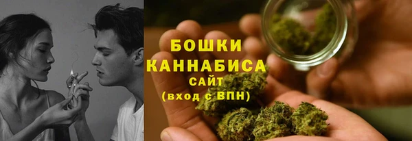ГАЛЛЮЦИНОГЕННЫЕ ГРИБЫ Дмитриев