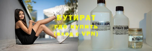 ГАЛЛЮЦИНОГЕННЫЕ ГРИБЫ Дмитриев