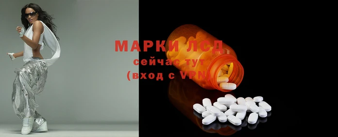 ГАЛЛЮЦИНОГЕННЫЕ ГРИБЫ Дмитриев