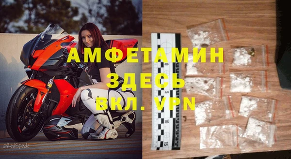 ГАЛЛЮЦИНОГЕННЫЕ ГРИБЫ Дмитриев