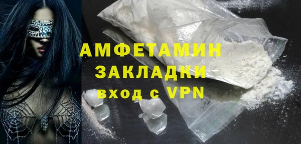 ГАЛЛЮЦИНОГЕННЫЕ ГРИБЫ Дмитриев
