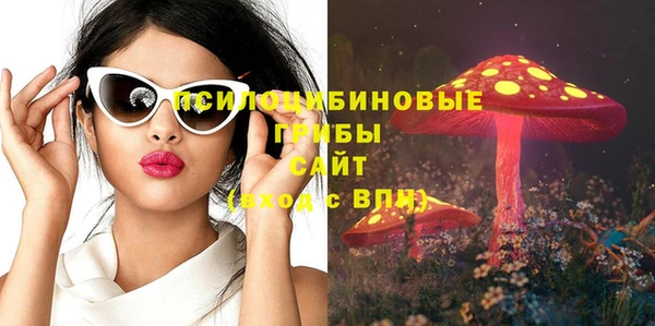 не бодяженный Дмитров