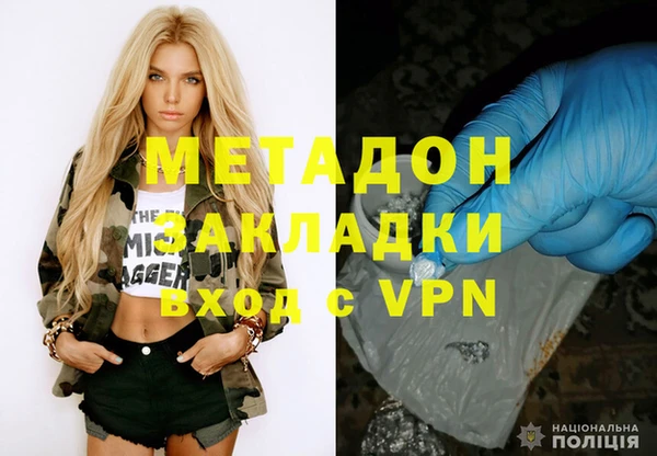 ГАЛЛЮЦИНОГЕННЫЕ ГРИБЫ Дмитриев