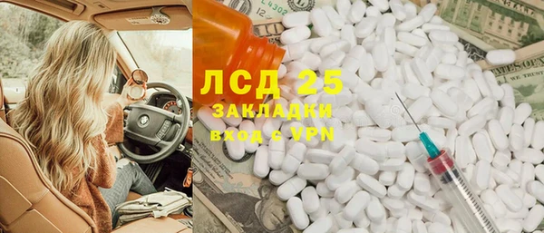 ГАЛЛЮЦИНОГЕННЫЕ ГРИБЫ Дмитриев
