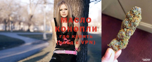 ГАЛЛЮЦИНОГЕННЫЕ ГРИБЫ Дмитриев